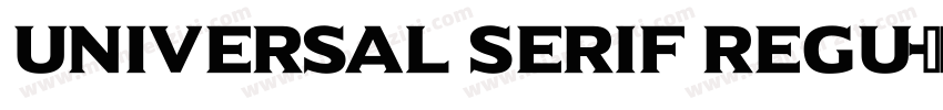 Universal Serif Regu字体转换
